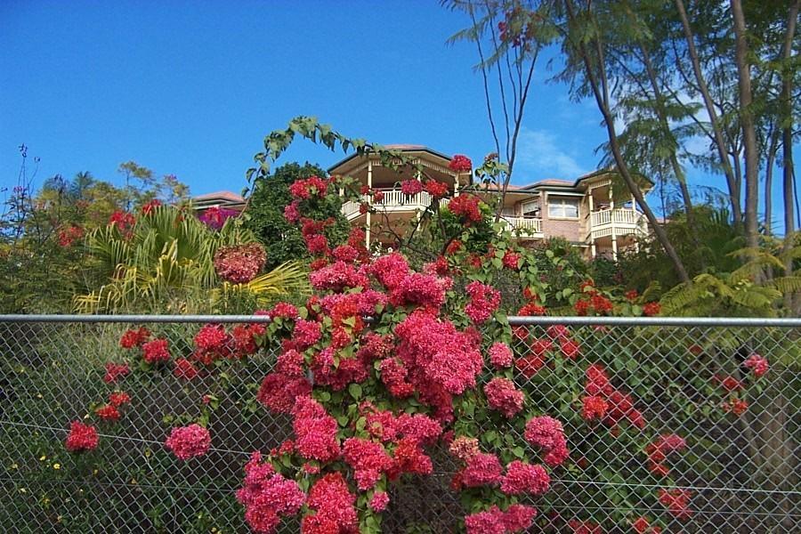 Tranquil Garden Hideaway Apartment Ormeau Exterior photo